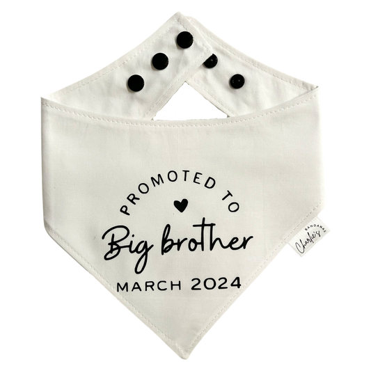 Promoted to Big Brother (Custom)
