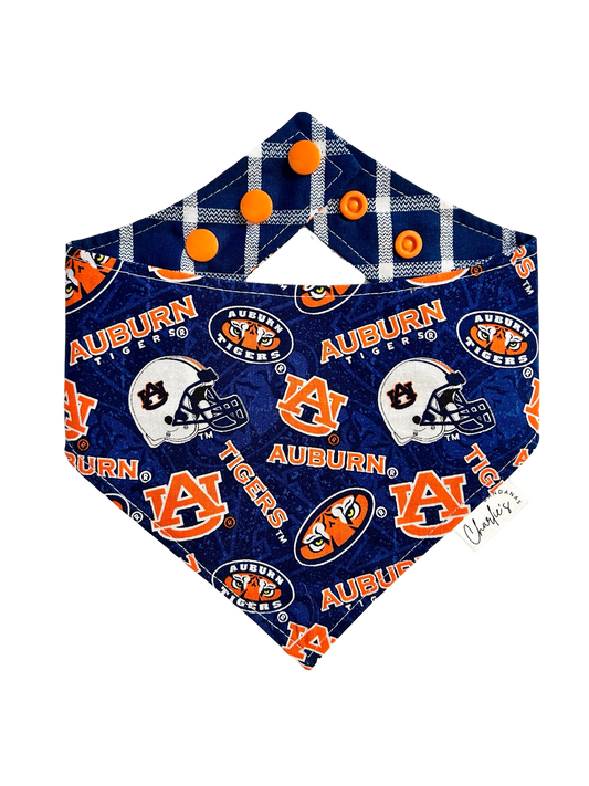 Auburn Tigers