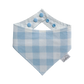Simple Blue Plaid