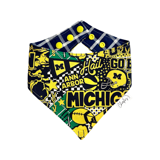 Michigan Wolverines