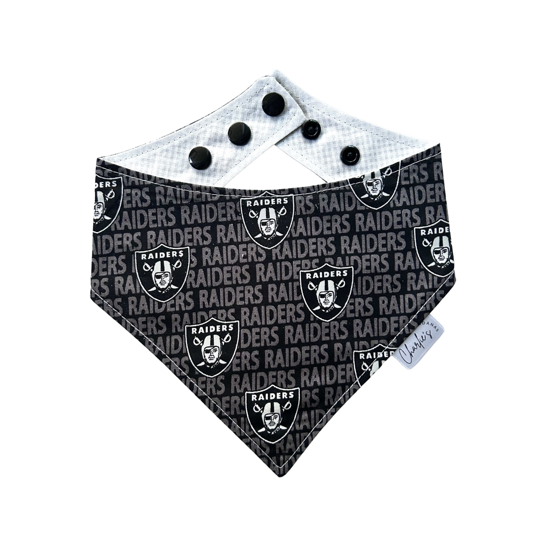 Las Vegas Raiders