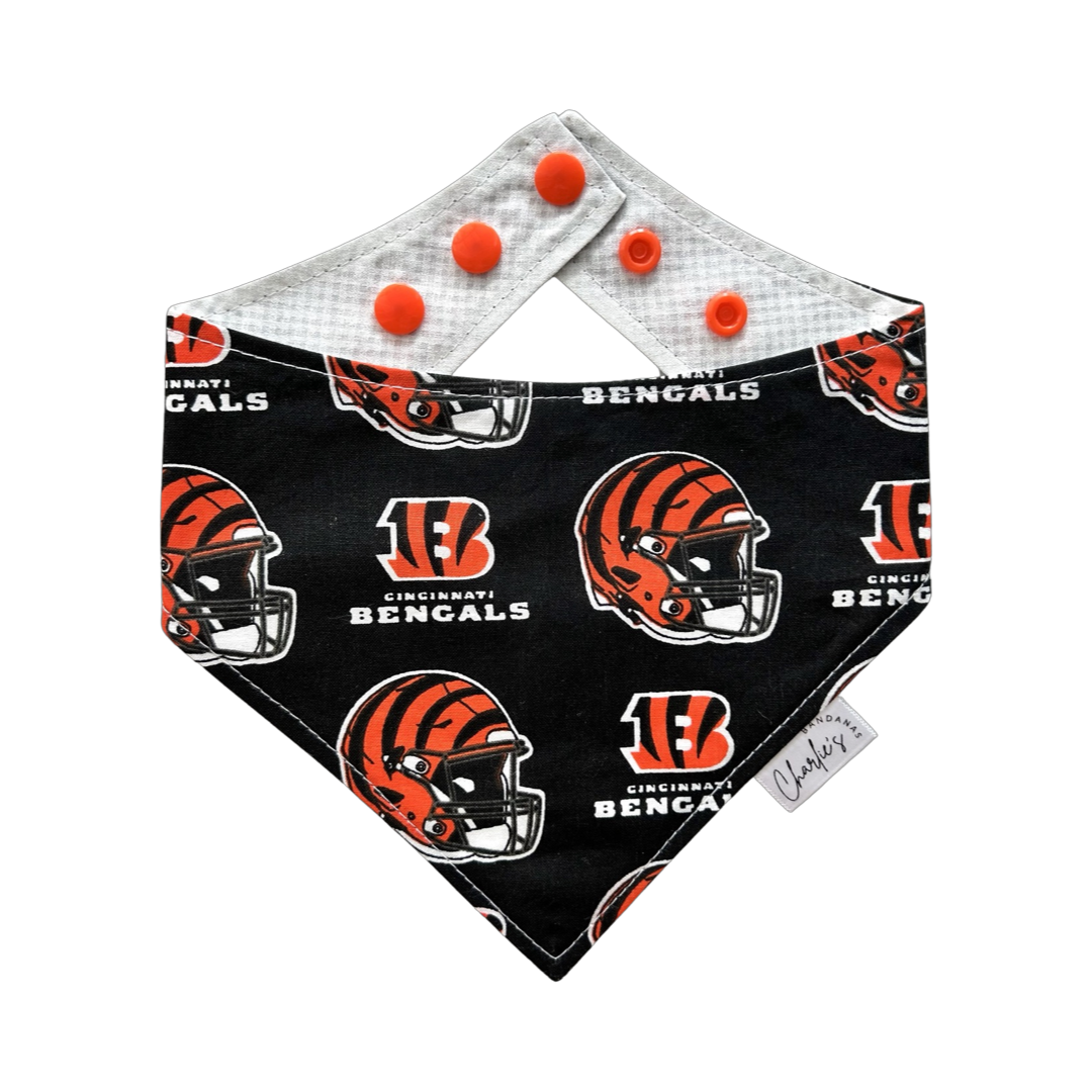 Cincinnati Bengals