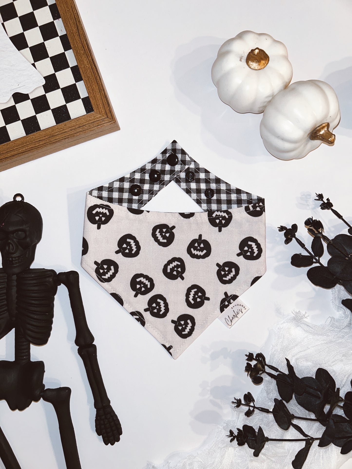 Boho Jack-O-Lanterns/ Black Gingham
