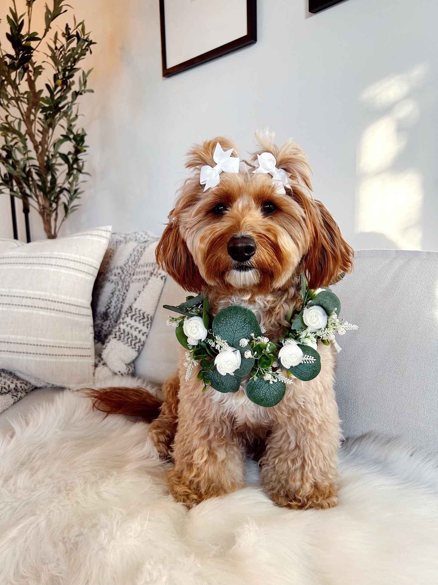 Flower Collar Wedding Day