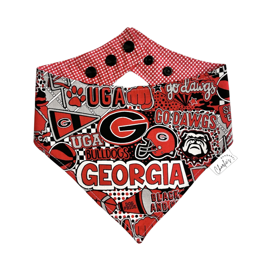 Georgia Bulldogs