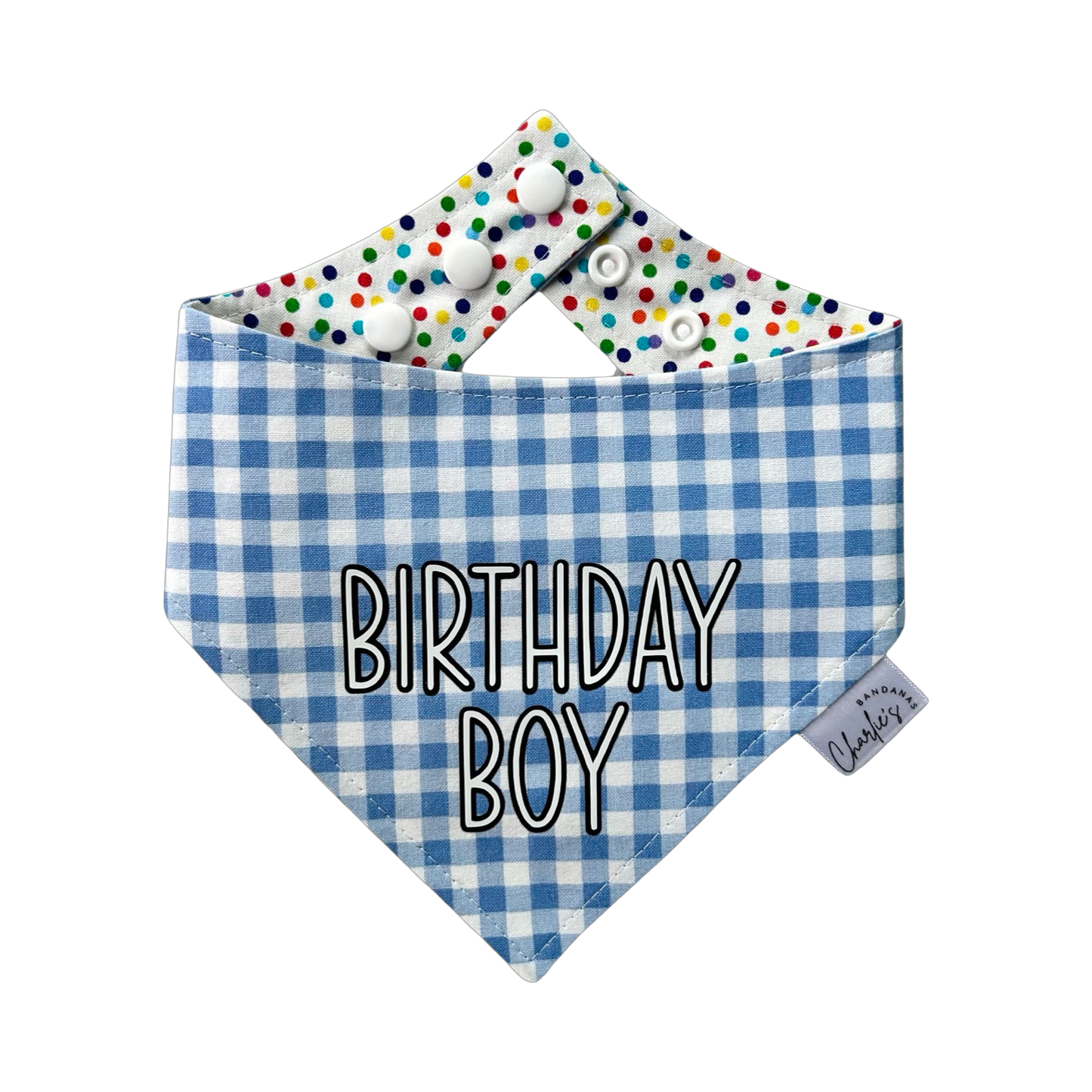 Birthday Boy on Blue Gingham