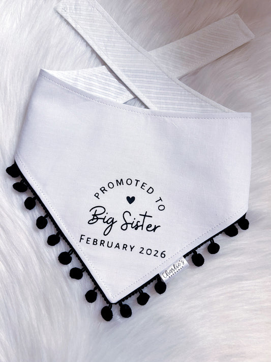 Promoted to Big Sister (Custom)