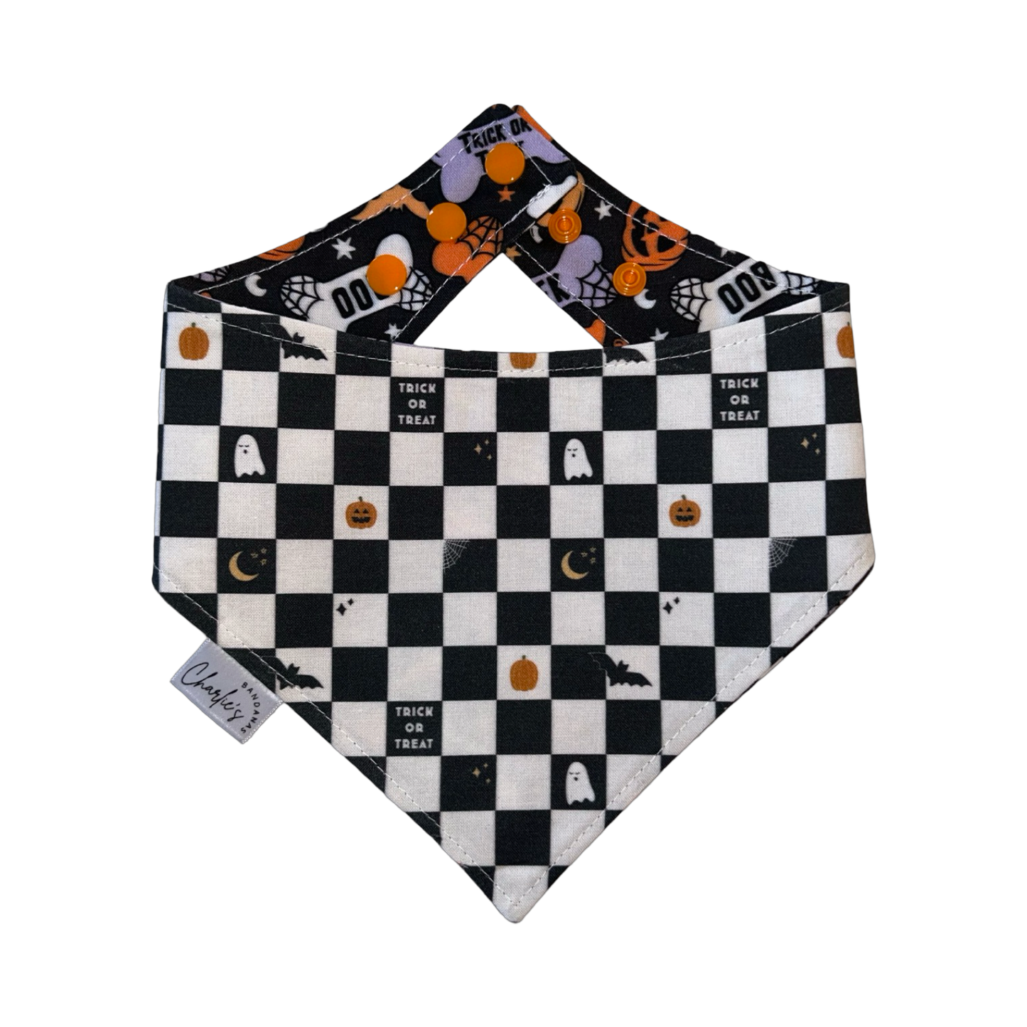 Dog Halloween Bones/ Spooky Checkerboard