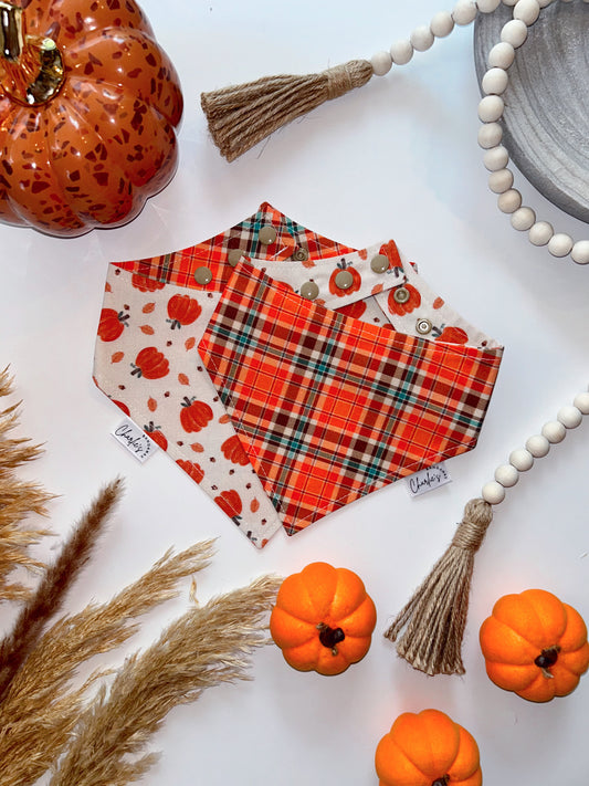 Orange Fall Plaid/ Tossed Pumpkins