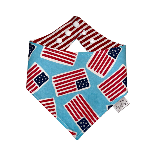 American Flags